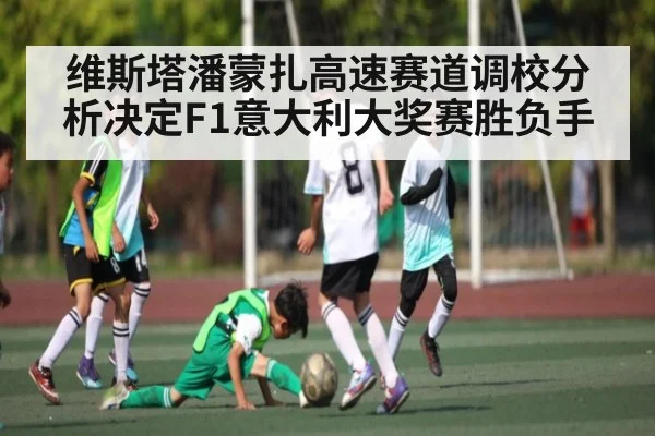 维斯塔潘蒙扎高速赛道调校分析决定F1意大利大奖赛胜负手